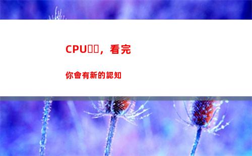 CPU，看完你會有新的認知